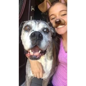 Meet your Posher, Lindsay